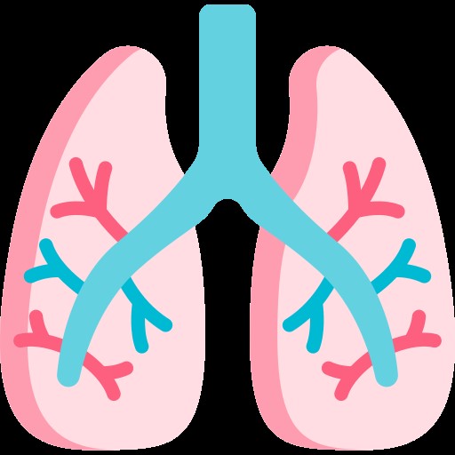 PULMONOLOGY (LUNGS)